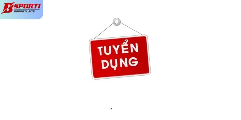 Cơ hội tuyển dụng tại Bsport