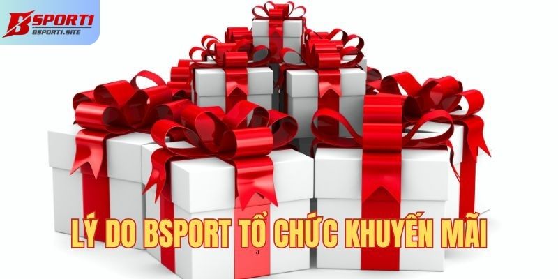 Lý do BSport tổ chức khuyến mãi